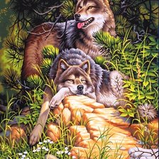 Схема вышивки «отдыхающие волки»