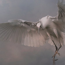 Схема вышивки «цапля»