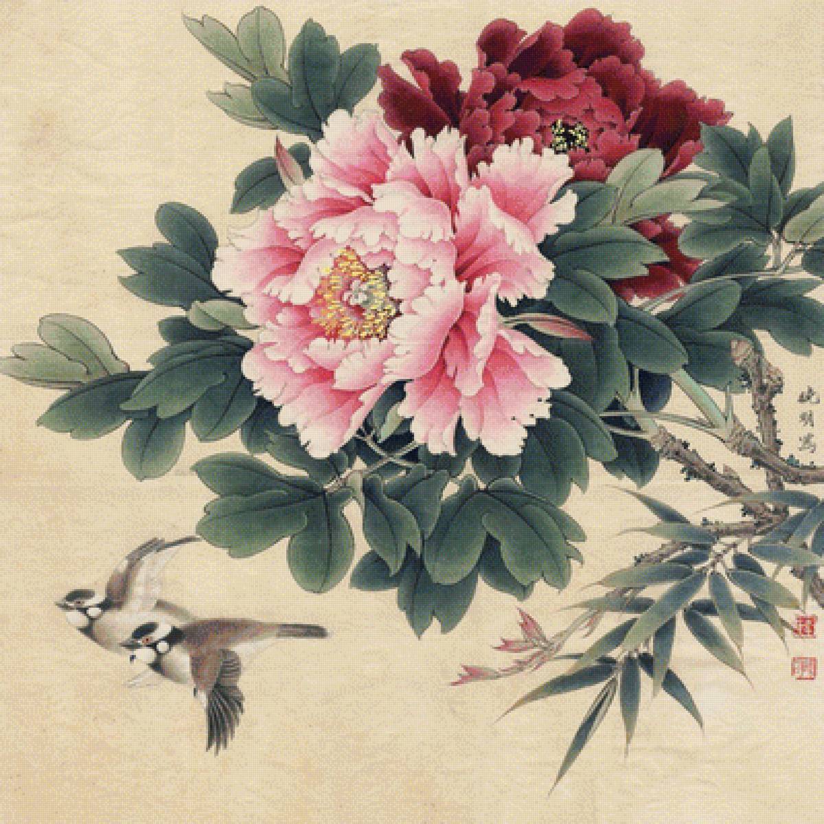 пионы - предпросмотр