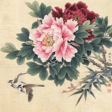 Схема вышивки «пионы»