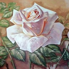 Схема вышивки «Розы»