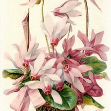 Схема вышивки «корзина»