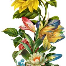 Схема вышивки «№1354361»