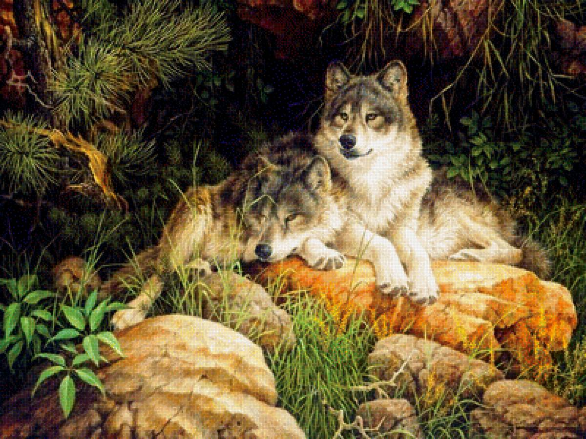 отдыхающие хищники - картина, животные, природа, лето - предпросмотр