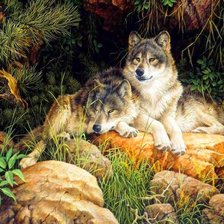 отдыхающие хищники