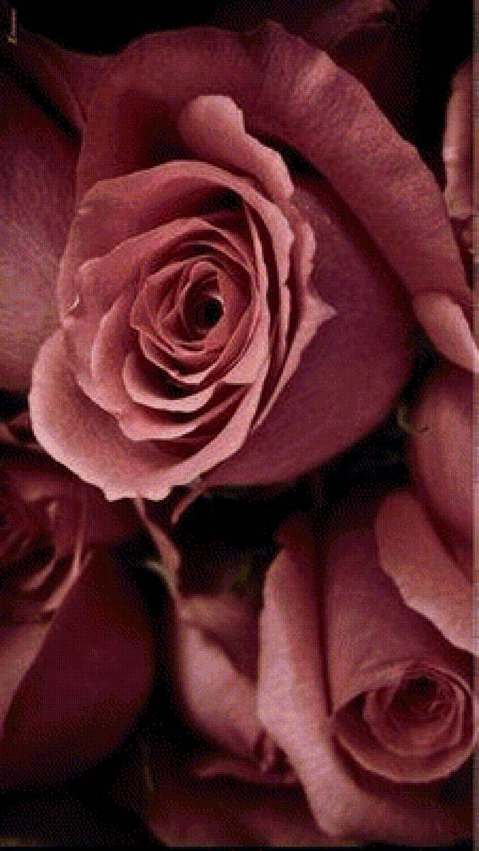 1 - предпросмотр