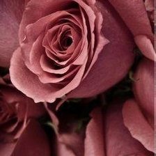 Схема вышивки «1»