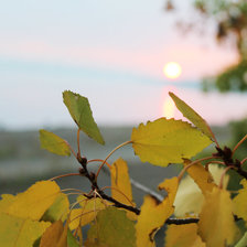 Схема вышивки «осень»