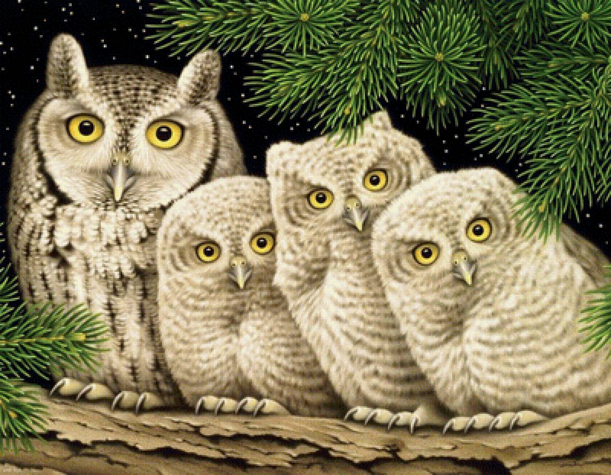 белые совы - природа, птицы, картина - предпросмотр