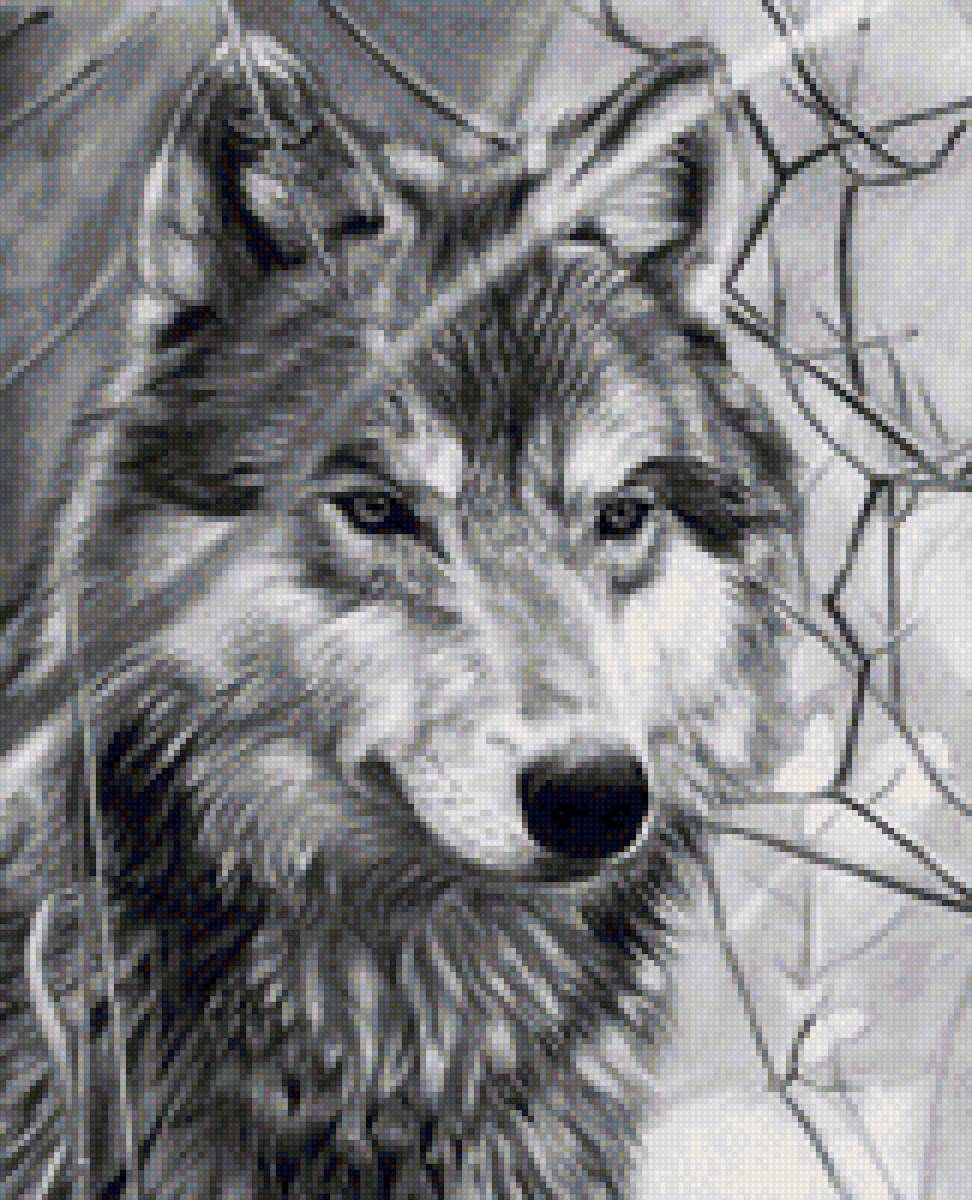 Одиночка - волки, лес, животные - предпросмотр