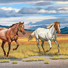 Схема вышивки «№1355406»