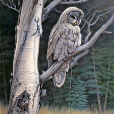 Схема вышивки «№1355407»