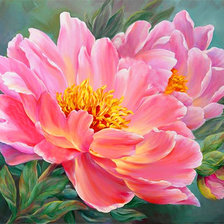 Схема вышивки «pivonie»