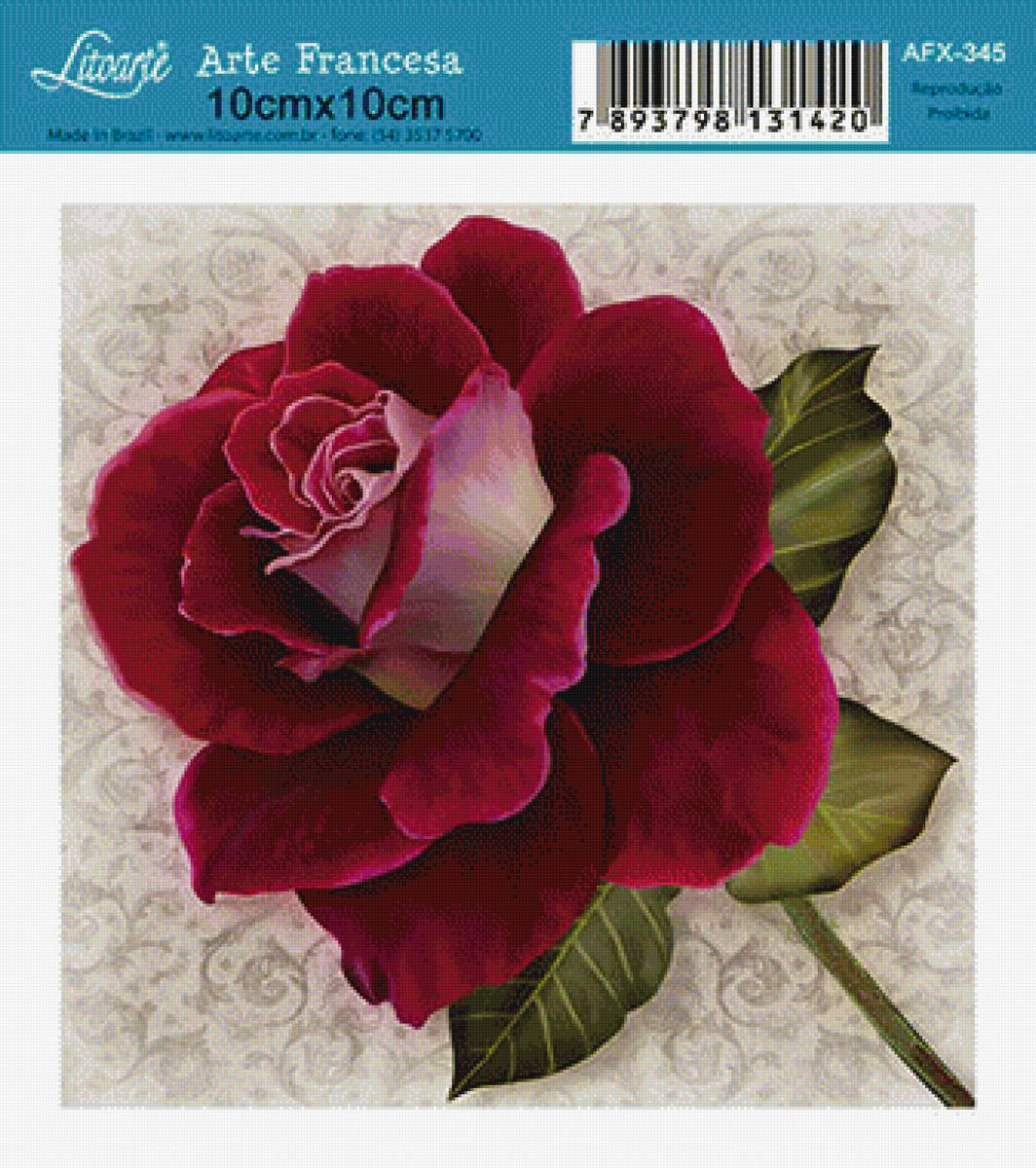 bordová ruža - предпросмотр