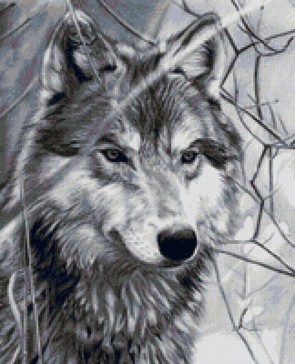 Одиночка 4 - лес, животные, волки - предпросмотр