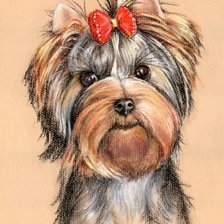 Схема вышивки «йорк»