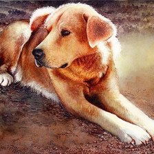 Схема вышивки «№1356108»