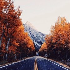 Схема вышивки «№1356148»