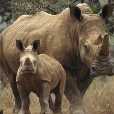 Схема вышивки «№1356163»