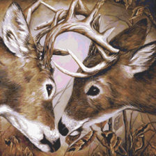 Схема вышивки «№1356215»