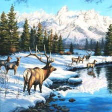 Схема вышивки «№1356216»