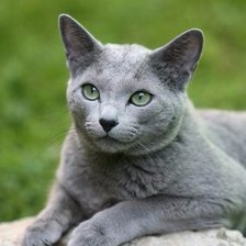 Схема вышивки «№1356243»