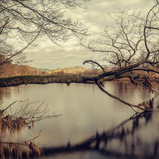 Осенняя пора