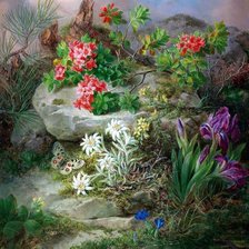 Схема вышивки «№1356579»