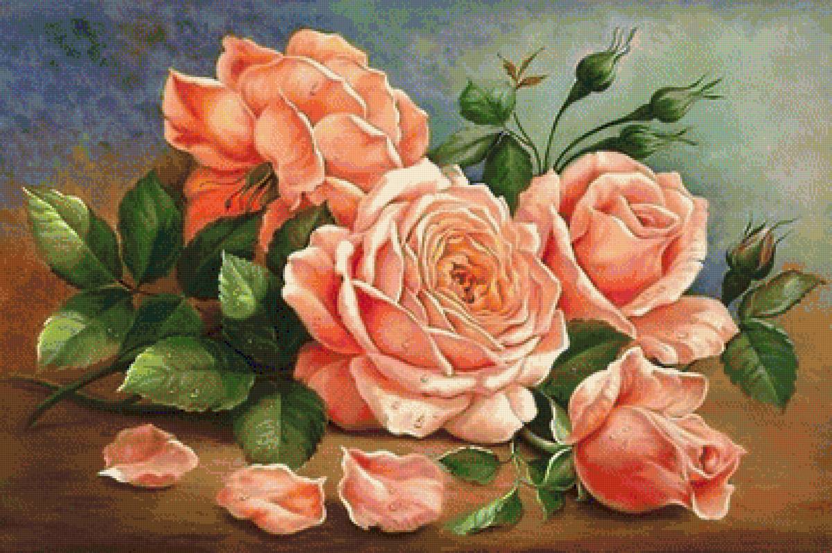 Quynh - hoa hồng - предпросмотр