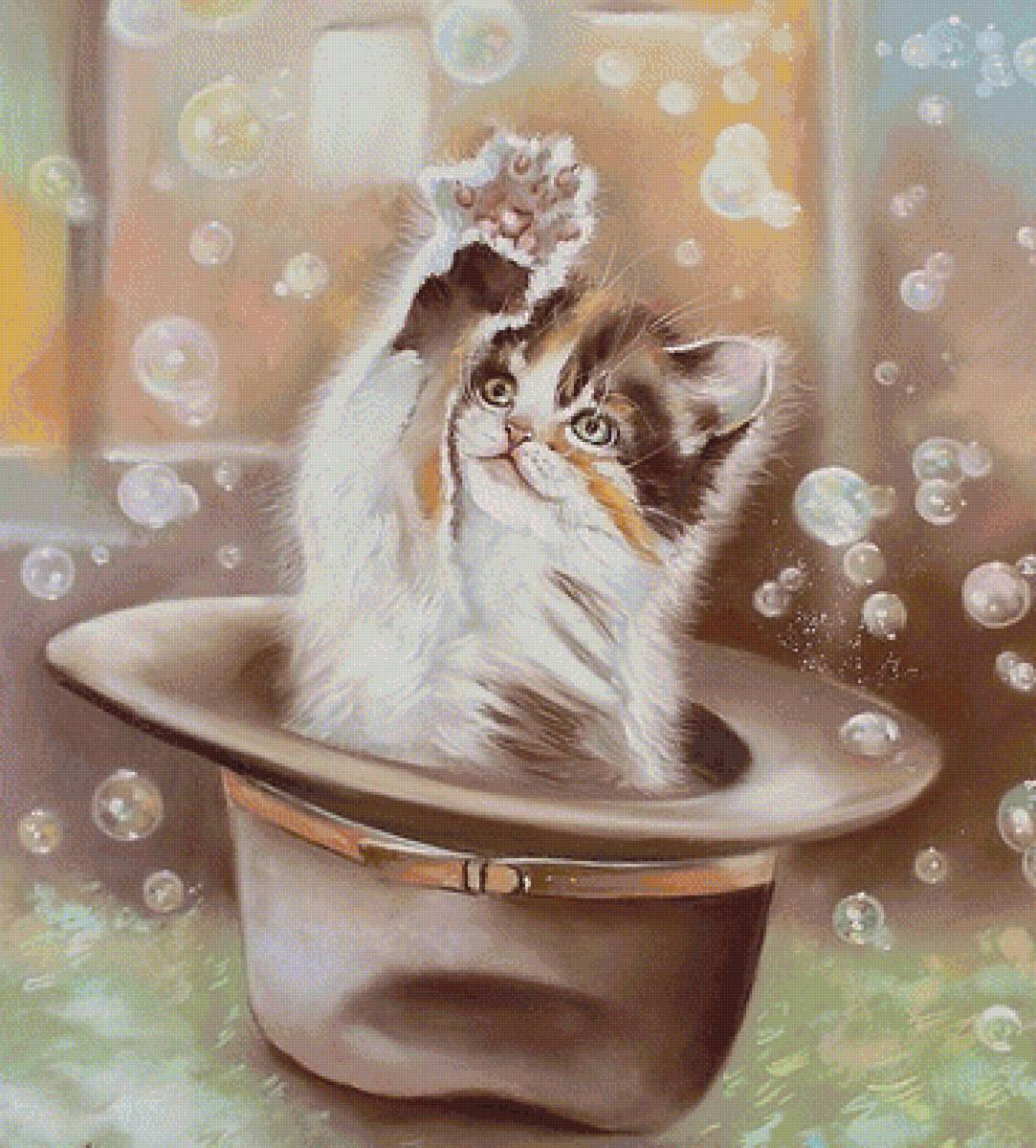 Котенок в шляпе - животные - предпросмотр