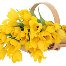 Схема вышивки «тюльпаны»