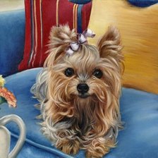 Схема вышивки «красотка»