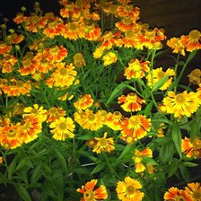 Схема вышивки «дача»