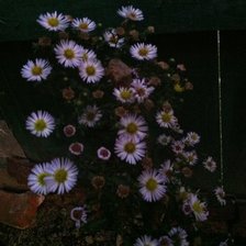 Схема вышивки «дача»