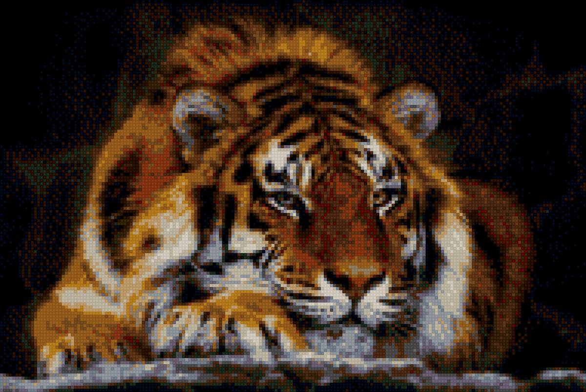 тигр - предпросмотр