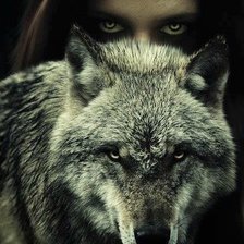 Схема вышивки «волк»