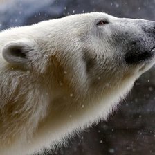 Схема вышивки «мишка»