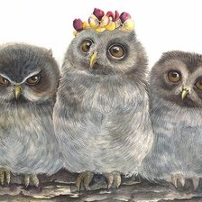 Схема вышивки «Совушки»