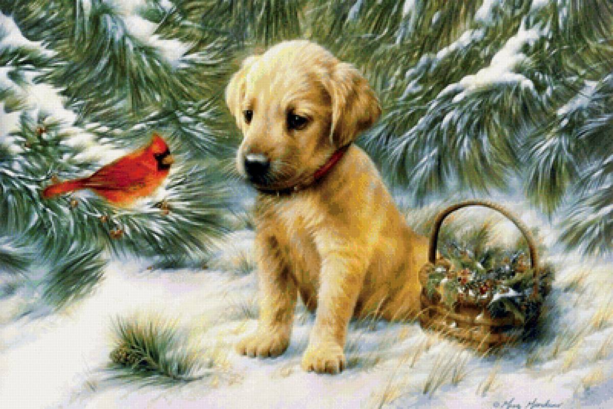 №1358260 - предпросмотр