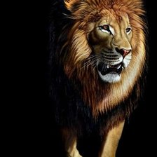 Схема вышивки «Царственная особа»