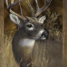 Схема вышивки «Царственная особа»