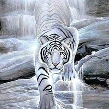 Схема вышивки «Дикие хищные кошки»