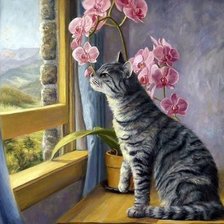 Схема вышивки «Киса»