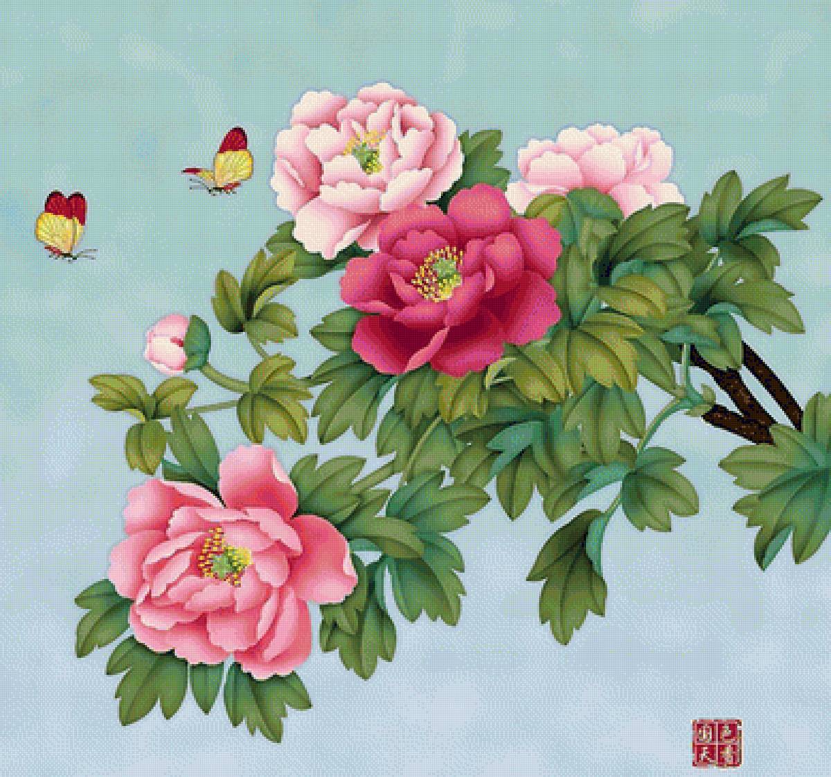 pivonie - предпросмотр