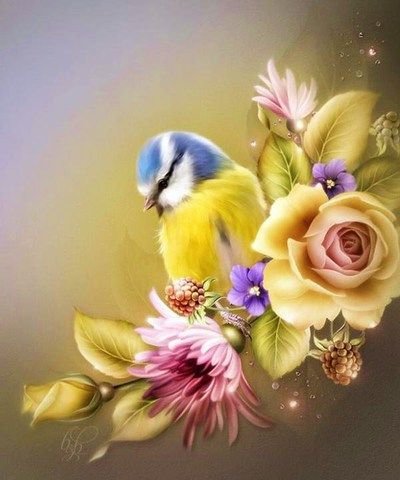 sýkorka,kvety - оригинал