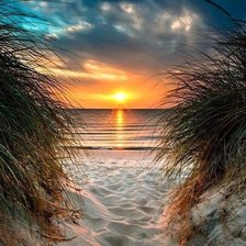 Схема вышивки «берег морской»