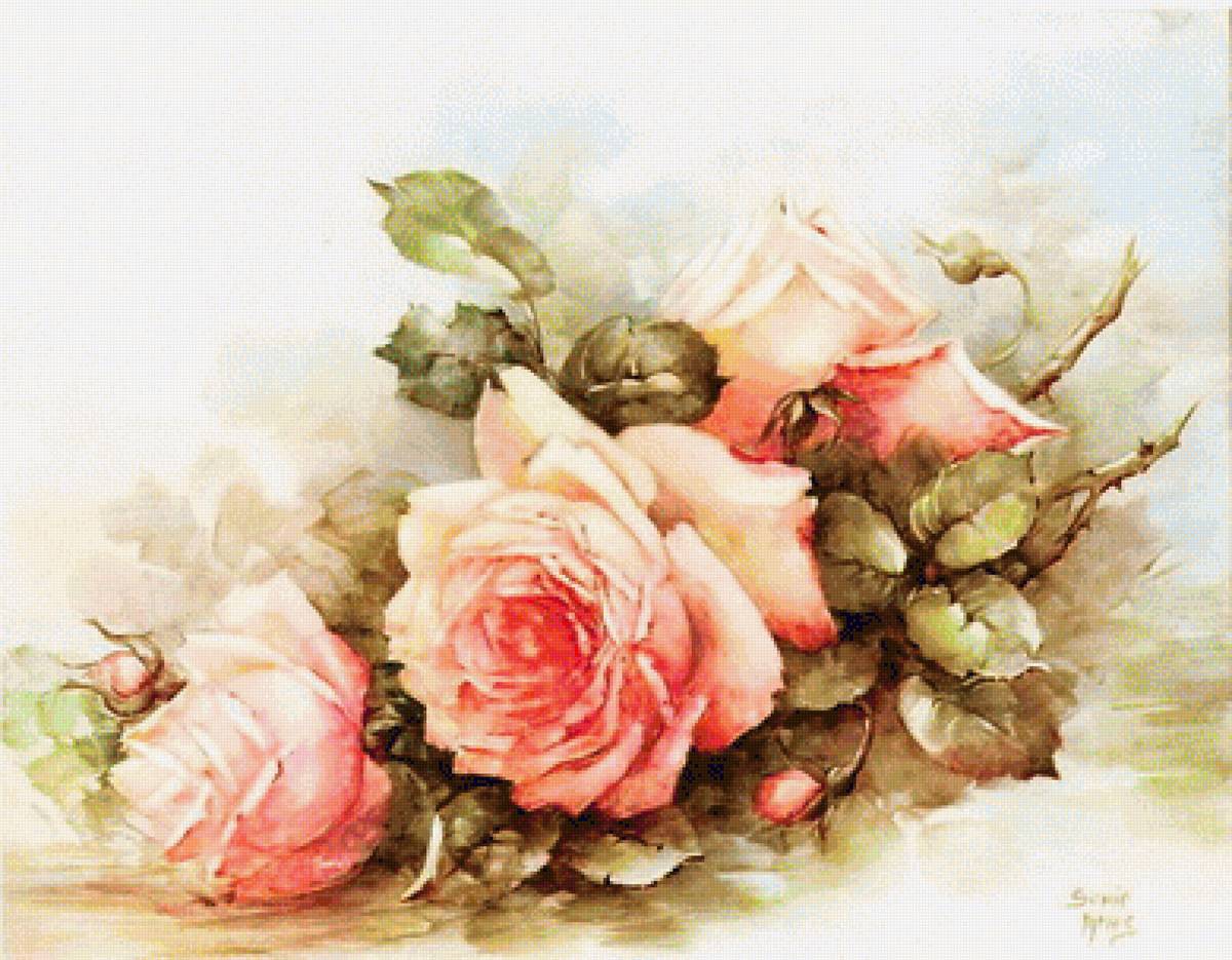 ruže - предпросмотр