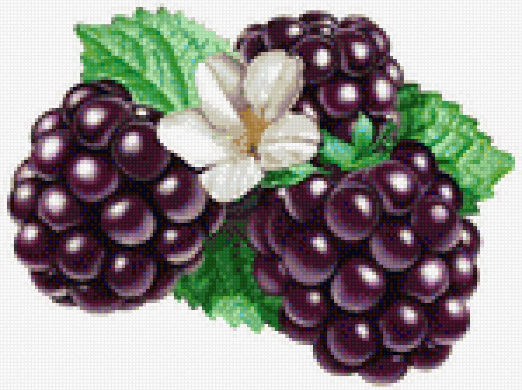 ежевичка - предпросмотр