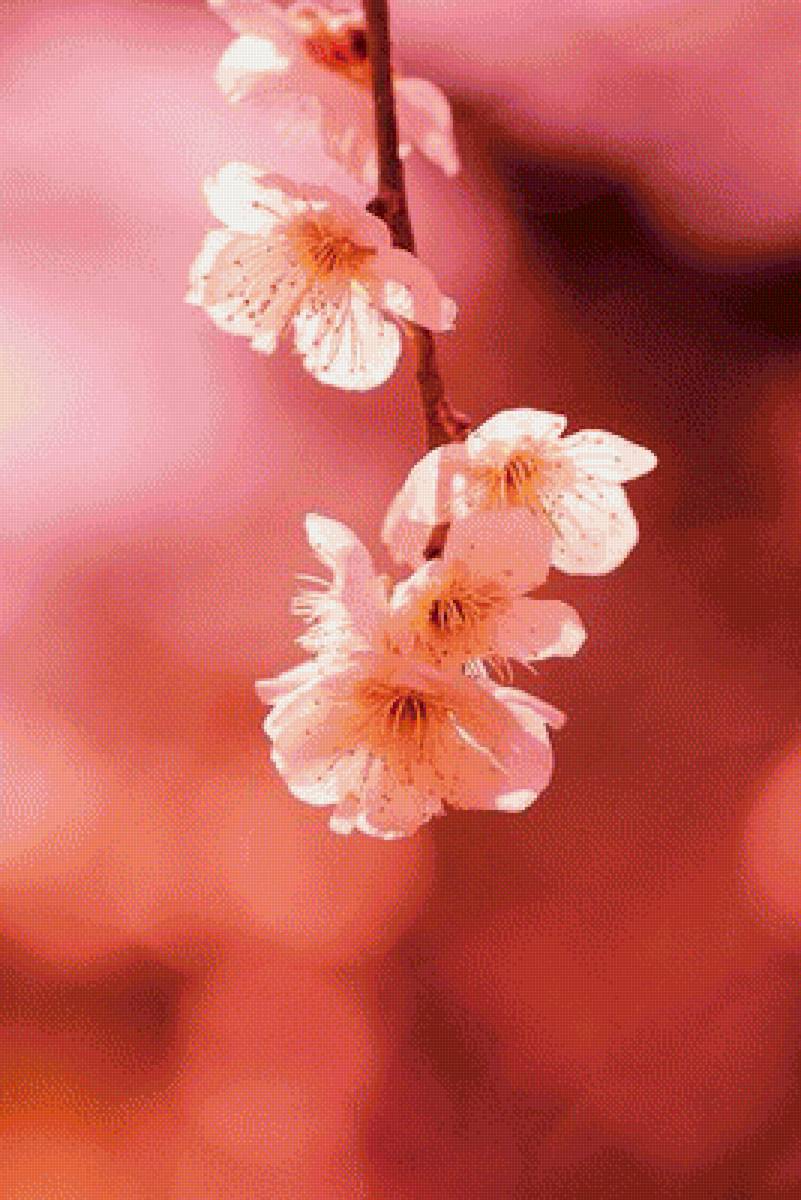 Розовое - предпросмотр