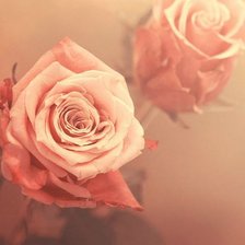 Схема вышивки «Розовое 1»